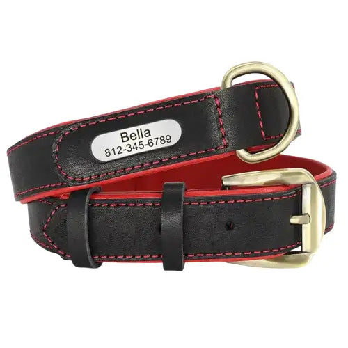 Collier en cuir personnalisable avec couture rouge, robuste et élégant pour chien Transparent Background
