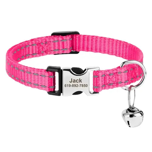 Collier réglable en nylon pour chat avec plaque argentée, design personnalisé rose Transparent Background