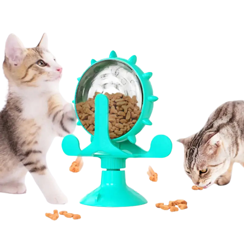 Deux chatons captivés par leurs reflets avec le jouet interactif pour chat - stimulateur de friandises rotatives Transparent Background