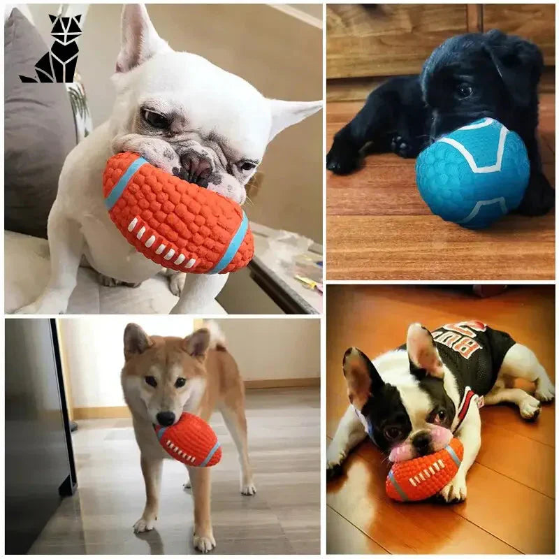 Quatre chiens s’amusant avec les jouets à mâcher du Canine Fun Toy Set et jouant avec une balle