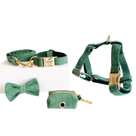 Kit Complet Chien Personnalisé Velours Côtelé Vert Transparent Background