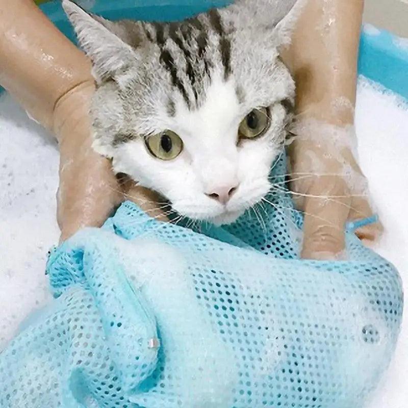 Chat confortablement assis dans une baignoire avec une serviette et un filet de bain Safe Cat Bath Net pour le toilettage des animaux de compagnie