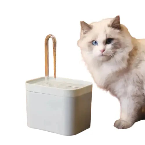 Fontaine à eau pour chat | CatWater™ Transparent Background