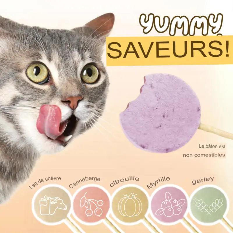 Cat Lollipop Treats | Natural Chicken Flavor, 25-Pack