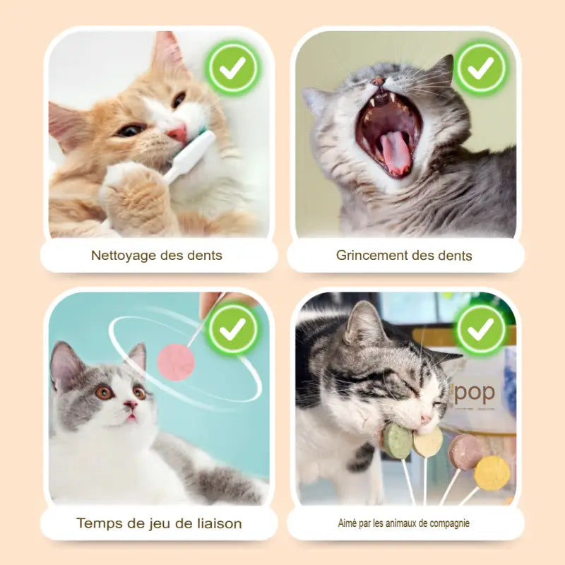 Cat Lollipop Treats | Natural Chicken Flavor, 25-Pack