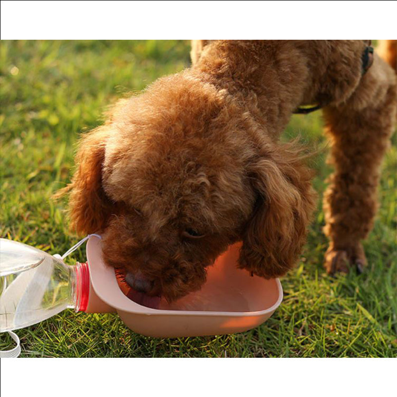 Gamelle d’eau portative pour chien et chat