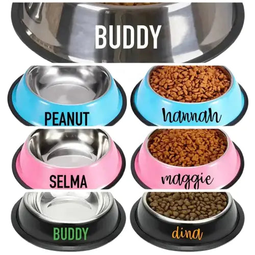 Gamelle Personnalisée pour Chat, acier inoxydable durable, quatre couleurs et tailles différentes Transparent Background