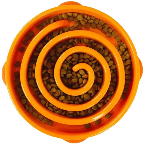Gamelle labyrinthe pour chien Transparent Background