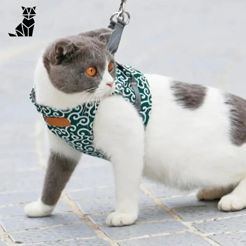 Chat portant un harnais floral vert et blanc, polyester et coton, motifs tendance