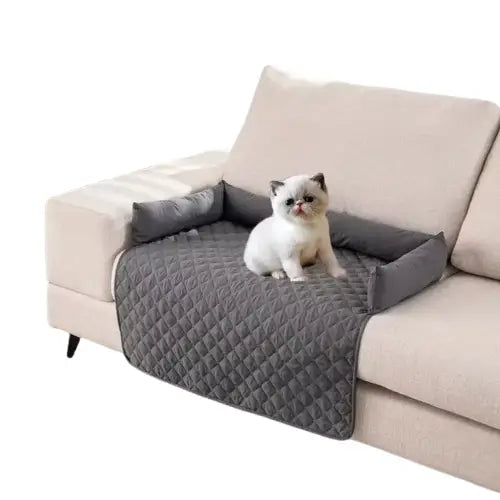 Chat assis sur le canapé avec Housse de Lit Imperméable pour chien - Lit Imperméable pour animaux Transparent Background