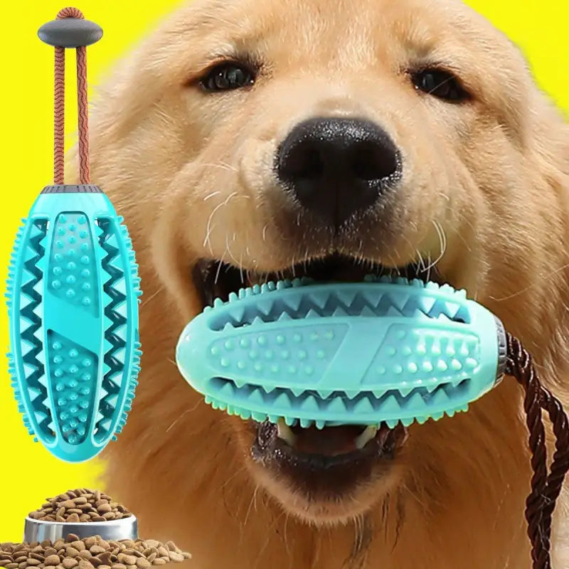 Jouet Brosse à Dents Pour Chien