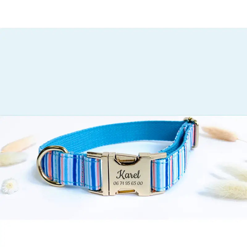 Kit Complet Chien Personnalisé Coton Rayé Bleu Ciel