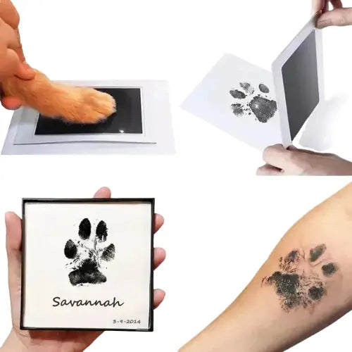 Personne tenant une boîte du kit Perfect Impression avec une petite empreinte d’animal, créant ainsi un souvenir parfait Transparent Background
