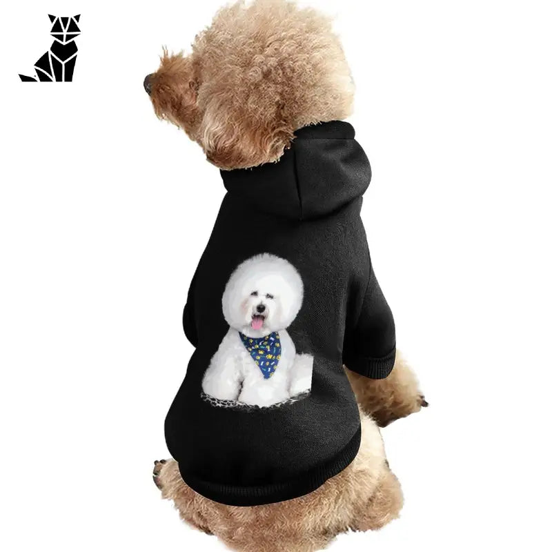 Chien portant un sweat à capuche noir avec un bandana bleu, parfait pour les saisons froides