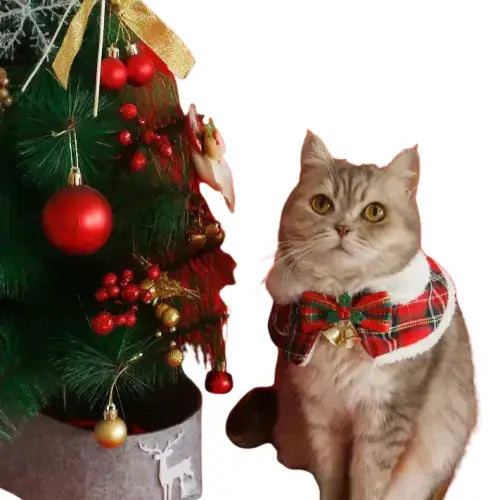 Chat avec un nœud de Noël près d’un arbre, mettant en valeur le design festif du manteau pour les aventures hivernales Transparent Background