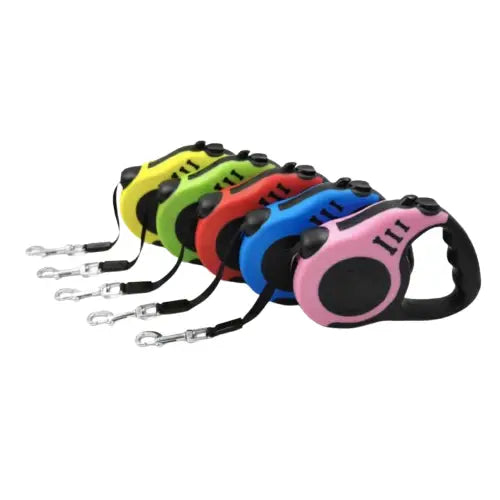 Laisse rétractable pour chien Transparent Background