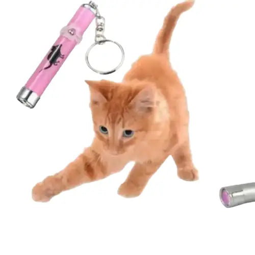 Pointeur Laser Avec Souris Lumineuse: Le Jeu Parfait Pour Votre Chat! Rose Transparent Background