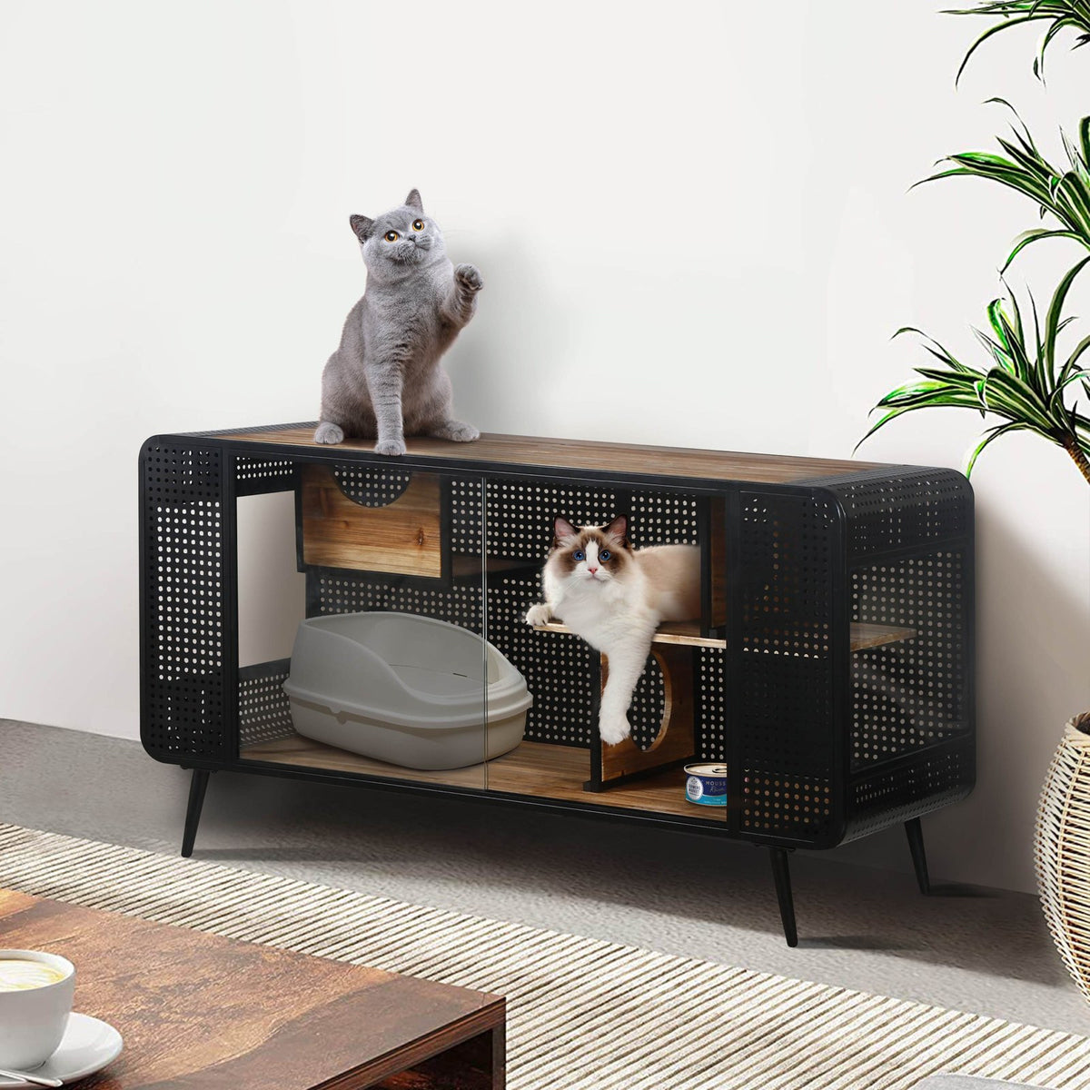 Maison extérieure pour chat avec vitre en verre trempé, noir et marron